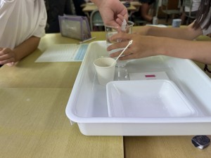 IMG_7879